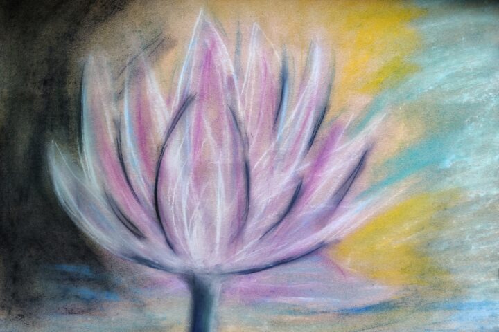 Mmconkeylotusblume1